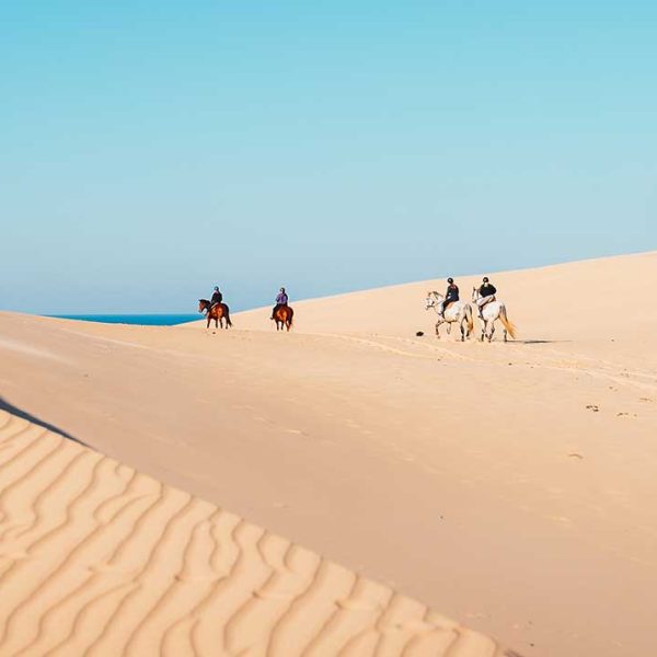 Michigan Shoreline Ride Silver Lake Sand Dunes