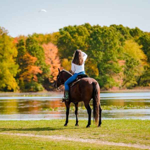 Fort Custer State Park in fall colors