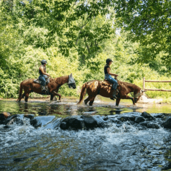 Waterloo creek crossing