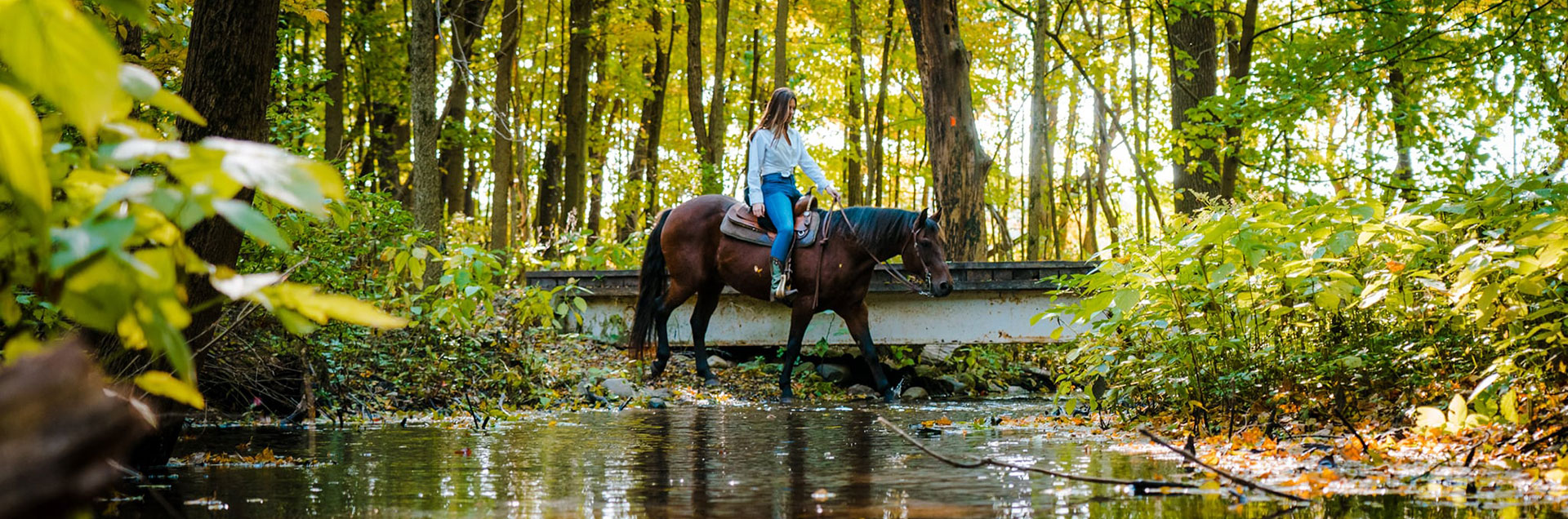 Trail Rider at Fort Custer State Park