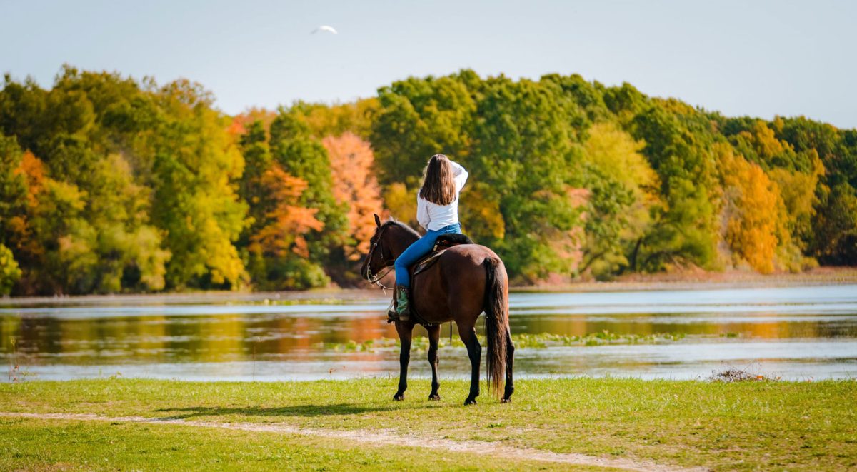 Fort Custer State Park in fall colors