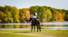 Fort Custer State Park in fall colors