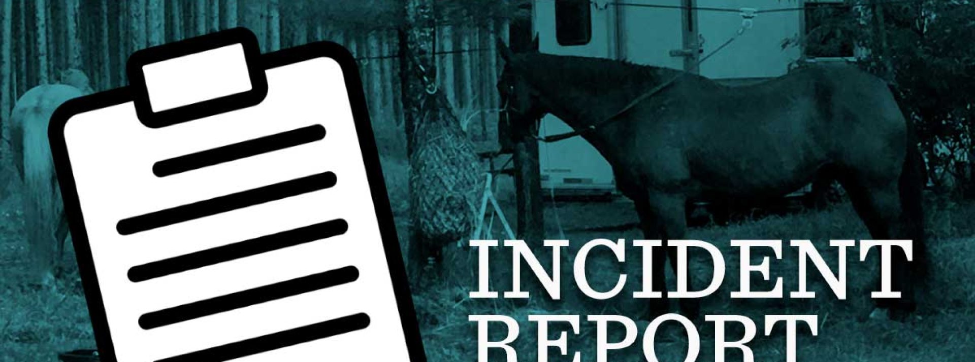 Trail/Campground Incident Report Form