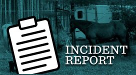 Trail/Campground Incident Report Form