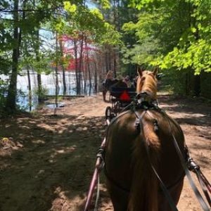 All Inclusive August 13-16 Camping Registration and Events Payment