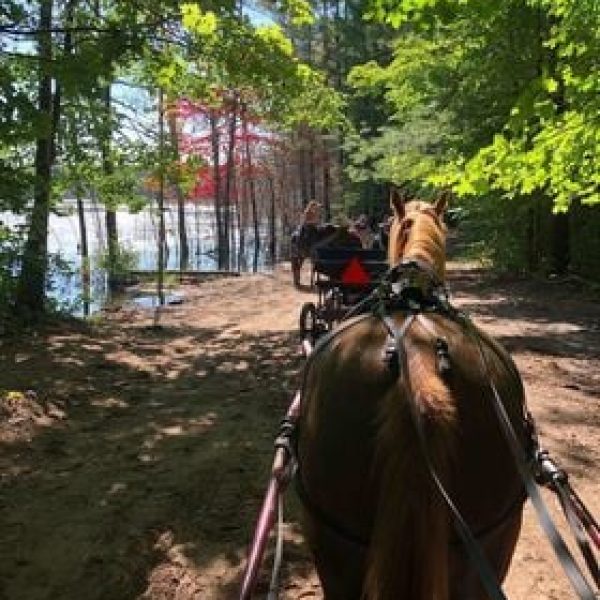 All Inclusive August 13-16 Camping Registration and Events Payment
