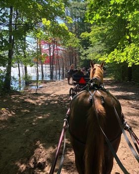 All Inclusive August 13-16 Camping Registration and Events Payment