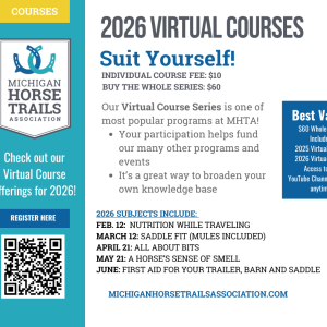 Virtual Courses