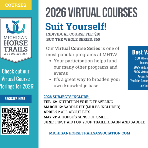Virtual Courses
